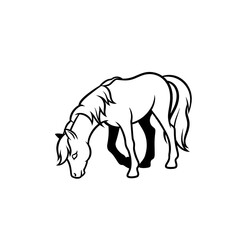 Horse grazing isolated on transparent background, a beautiful equine animal art