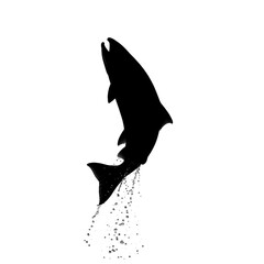 Silhouette of a salmon jumping out of the water isolated on transparent background