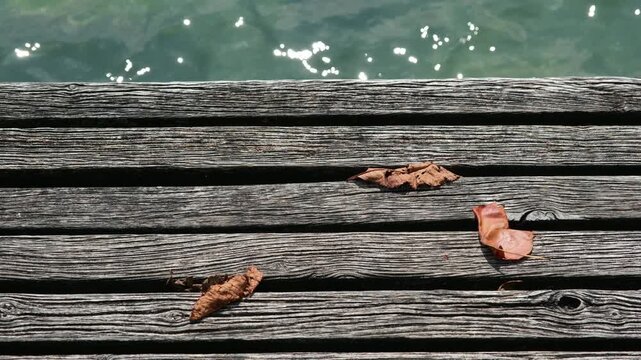 Ende der Badesaison, Herbstbeginn am See, erste gefallene Bl&auml;tter im Sp&auml;tsommer