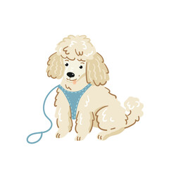 A cartoon toy poodle wearing a blue harness with a leash and sitting, flat vector illustration on a white background