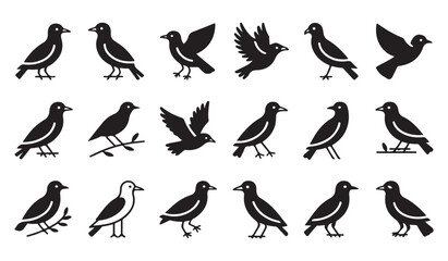 Fototapeta premium Vector collection of wild bird silhouettes with wings spread and perched
