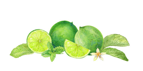 Watercolor illustration of fresh green limes, lime slices, mint leaves, and blossom on a whit background. Citrus fruit and herbal elements perfect for summer, drinks, and botanical design