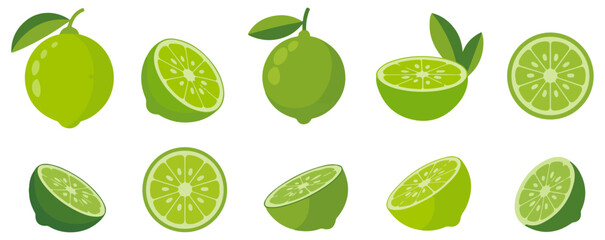 cartoon lime fruit vector illustration