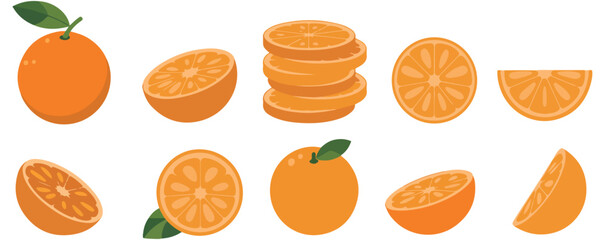 fresh orange fruit vector illustration