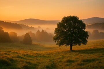 Solitary tree in misty meadow at sunrise with rolling hills in distance