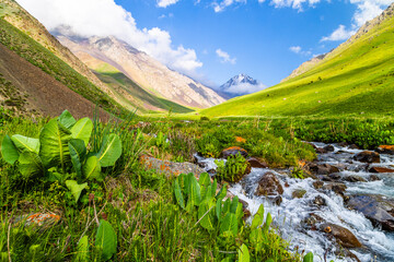Majestic snow-capped mountains with serene flowing stream in Kyrgyzstan