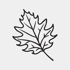 leaf autumn drawing element