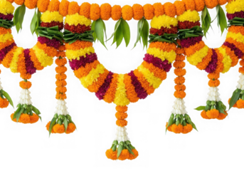 Vibrant marigold and leaf garlands for festive decorations and celebrations isolated on transparent background
