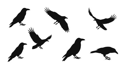 Collection of silhouetted crows and ravens in various dynamic poses for graphic design elements