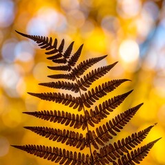 Obraz premium Autumn fern leaf in golden light