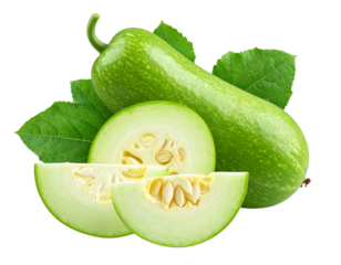 Angled Side View of Ash Gourd with Leaves, Showing Texture and Interior, isolated on transparent background.