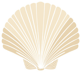Elegant Sea Shell Graphic with Smooth Lines for Coastal or Nautical Designs