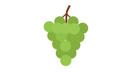 A simple illustration depicting a bunch of vibrant green grapes hanging down