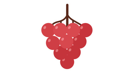 A simple illustration of a bunch of vibrant red grapes hanging down
