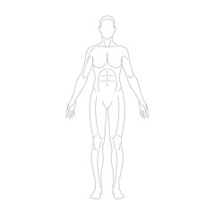 Simple outline of a human body showing anatomical structure and form