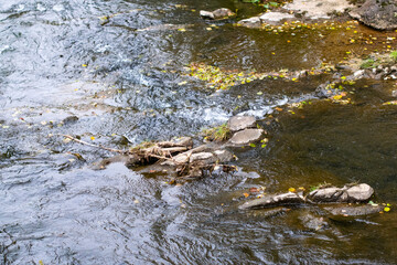 Clear river stream with stones and autumn leaves