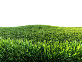 Obraz premium PNG of Lush green grass field under a bright sky, symbolizing nature's beauty and tranquility.