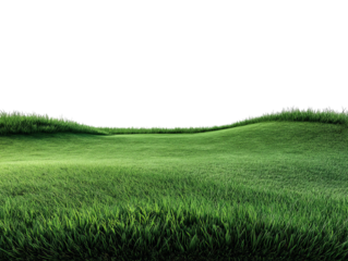 PNG of Lush green grass landscape, showcasing vibrant hues and gentle undulations under natural light.