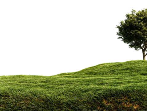 PNG of A vibrant green hillside with lush grass and a solitary tree, illustrating nature's beauty and tranquility.