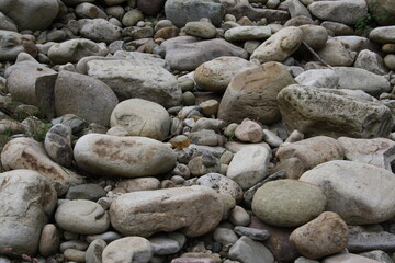 piedras