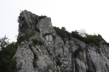 monte