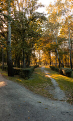Fototapeta premium Warm autumn evening in a Ukrainian city park, people relaxing by the river and walking among golden trees, peaceful atmosphere, leisure and nature in Zaporizhzhia