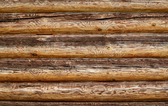 Log wall texture. The logs are located parallel to each other and horizontal to the background. Copy space.