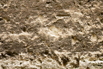 Weathered porous limestone wall surface
