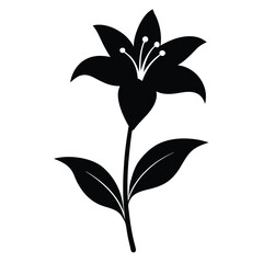Elegant Garden Lily Silhouette Illustration on a Clean White Background for Creative Projects