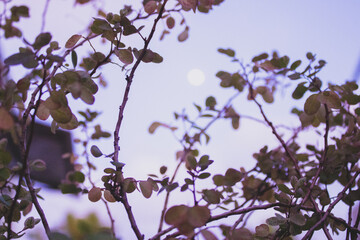 Wallpapers made to inspire your day.