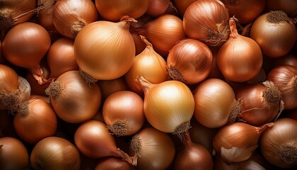 Obraz premium Onion Background