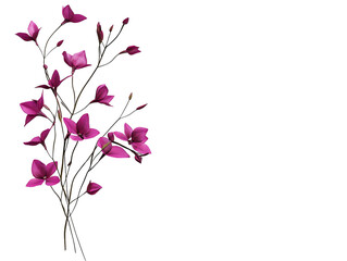 PNG Of A vibrant bouquet of pink flowers on a delicate stem, showcasing nature's beauty and elegance.