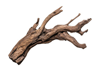 PNG Of Intricate weathered wood branch showcasing natural textures and tones.