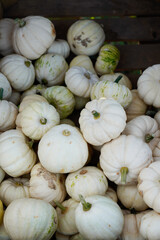 White pumpkins in a wooden box