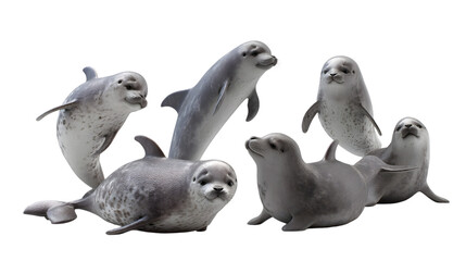 Fototapeta premium Group of seals posing together isolated on transparent background