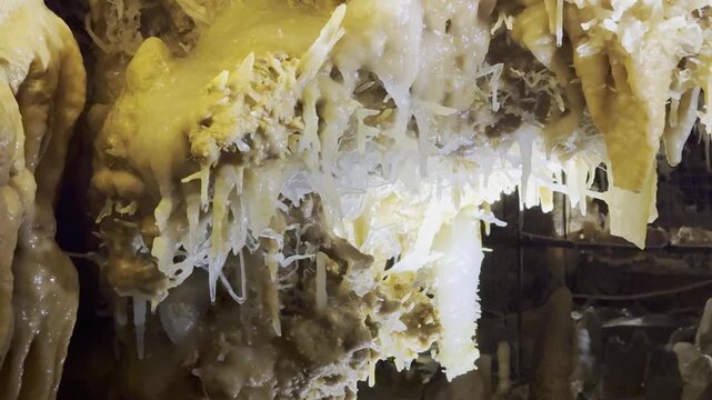 Helictites and eccentric mineral formations in the Grand Roc cave near Les Eyzies, Dordogne, France. Check my portfolio for more cave formation footage.