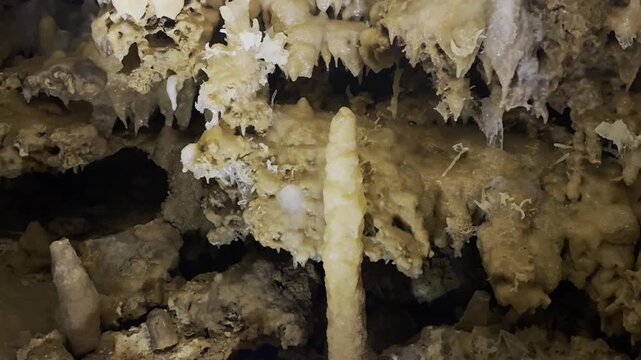 Close-up on helictites and eccentric mineral formations in the Grand Roc cave near Les Eyzies, Dordogne, France. Check my portfolio for more cave formation footage.