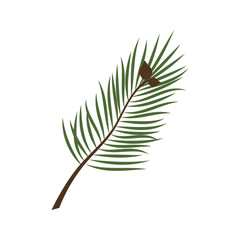 Pine tree branches with green needles and cones illustration