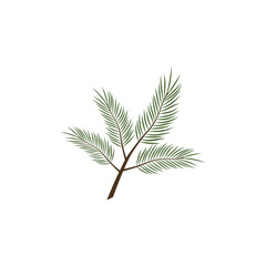 Pine tree branches with green needles and cones illustration