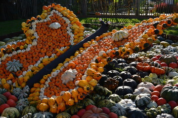 Creative autumn installation in butterfly shape made of colorful pumpkins.