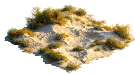 PNG of A vibrant desert sand dune landscape, showcasing lush vegetation in shades of green and yellow against the soft, golden sand.