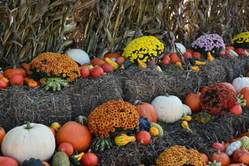 Colorful pumpkins and gourds on straw, rustic farm market display for autumn harvest festivals, Halloween, and Thanksgiving.