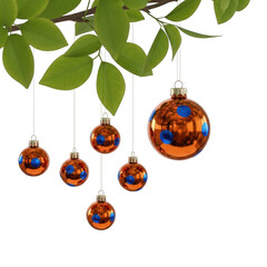 Christmas ornaments hanging from a branch isolated on transparent background
