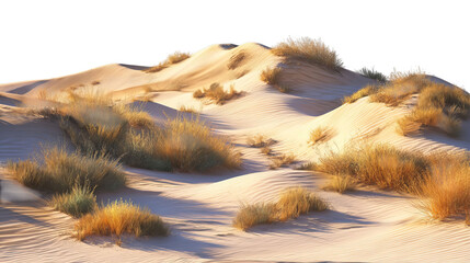 PNG of Tranquil desert landscape with gently rolling sand dunes and sparse grass, illuminated by warm sunlight.