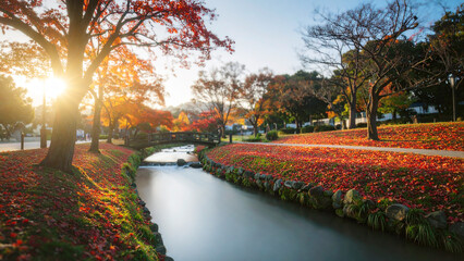 Colorful autumn leaves in the park at sunset