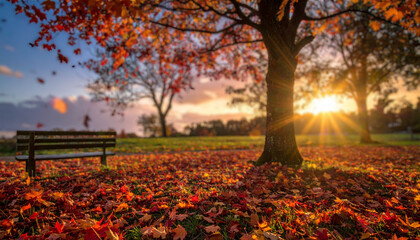 Autumn leaves in the park at sunset, beautiful nature background.