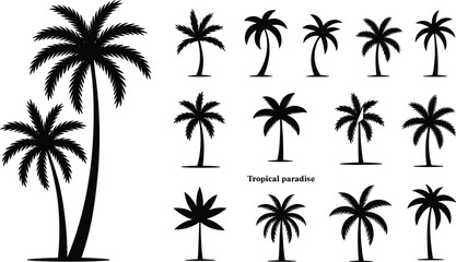 Tropical palm tree silhouettes set, black vector icons, exotic nature elements, summer beach vibe, paradise design, isolated graphic collection