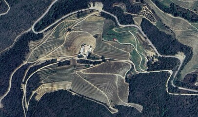 Douro Valley Vineyards, Portugal: High-Resolution Aerial View of the Terraced Hillsides