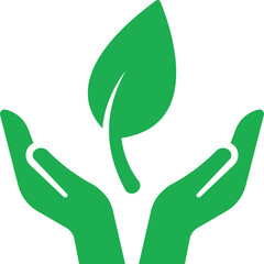 Human hands caring for plant