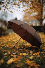 Open brown umbrella on autumn lawn with fallen leaves, moody fall day
